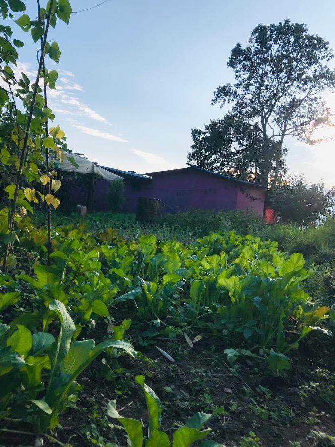 Hom'S Homestay & Farmstay Sarangkot Pókhara Exteriér fotografie