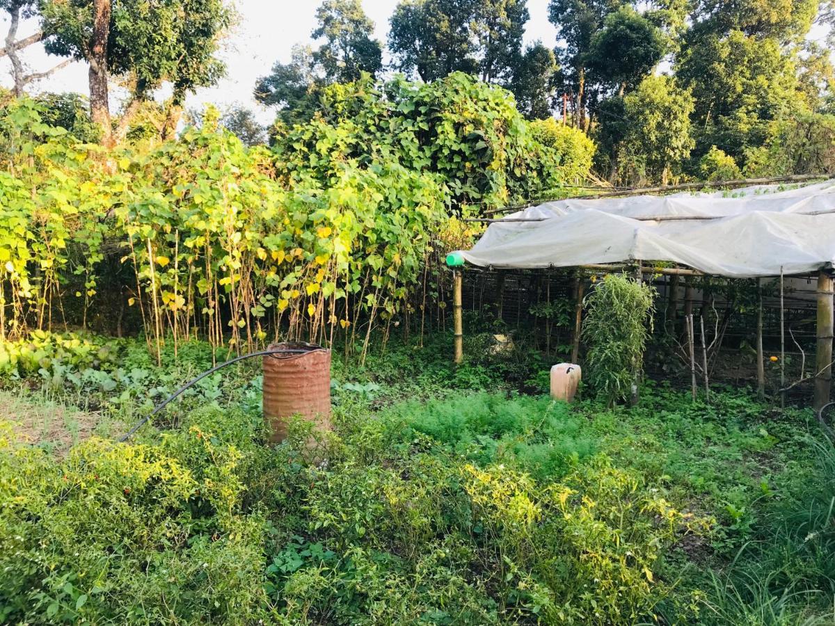 Hom'S Homestay & Farmstay Sarangkot Pókhara Exteriér fotografie